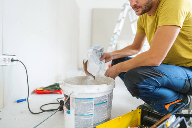 Best Mold Damage Restoration  in Smith Center, KS